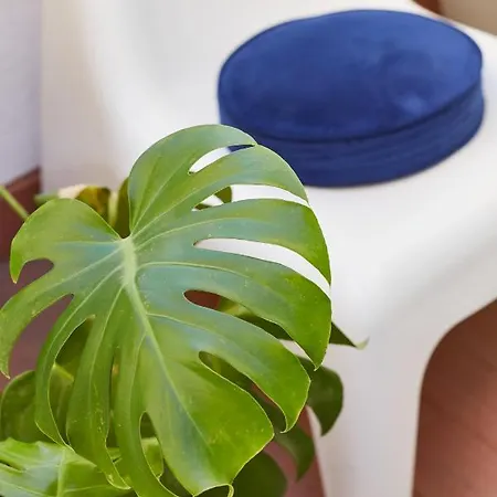 Bubusuites Frühstückspension