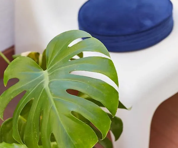 Bubusuites Bed & Breakfast