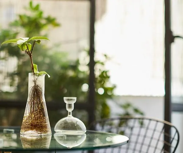 Bubusuites ベッド・アンド・ブレックファスト